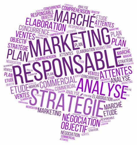 Responsable Marketing (Secteur Telecom)